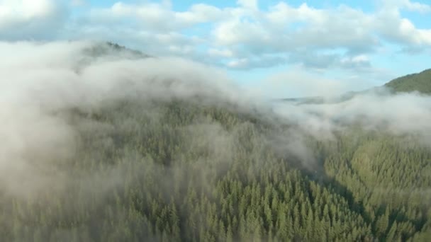 在针叶林间的高山度假胜地上空飞行.雾从山坡上升起 — 图库视频影像