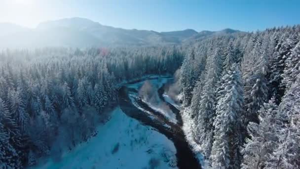冬天在山上。空中俯瞰白雪覆盖的针叶林在山坡上，河流在山谷中。波兰Zakopane Tatra Mountains — 图库视频影像