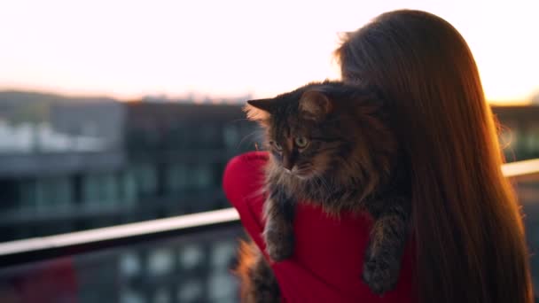 Frau in rotem Kleid steht bei Sonnenuntergang auf einem Balkon und hält eine flauschige Katze auf ihrer Schulter. Zeitlupe — Stockvideo
