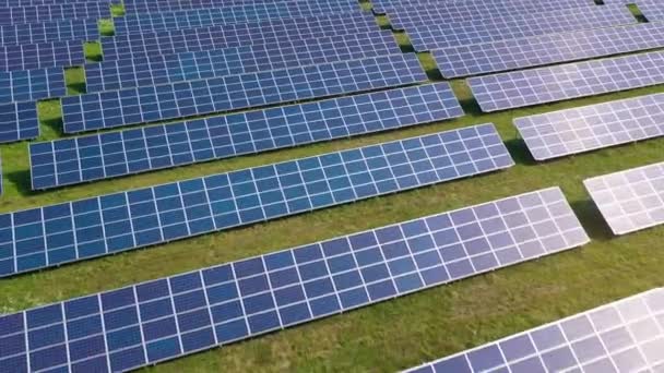 Lot nad polem paneli słonecznych w słoneczny letni dzień. Innowacje ekologiczne. — Wideo stockowe