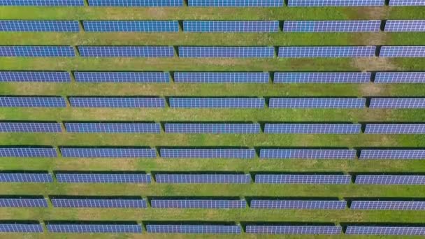 Blick von oben auf ein Feld mit Sonnenkollektoren an einem sonnigen Sommertag. Ökologische Innovation. — Stockvideo