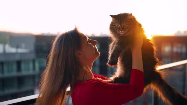 A nő köröz egy bolyhos macskát a karjaiban, és az arcába nyomja. Szeretettel az állatoknak. Lassú mozgás. — Stock videók
