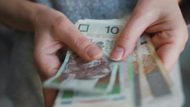 A nő előveszi a táskáját, és megszámolja a pénzt, lengyel zloty közelkép. — Stock videók