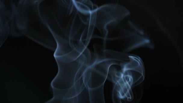 El humo abstracto se levanta en hermosos remolinos sobre un fondo negro. Movimiento lento — Vídeos de Stock