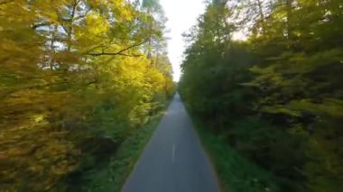 Yol boyunca ağaçların dallarına doğru yumuşak bir uçuş. Resimli sonbahar hava manzarası günbatımı.