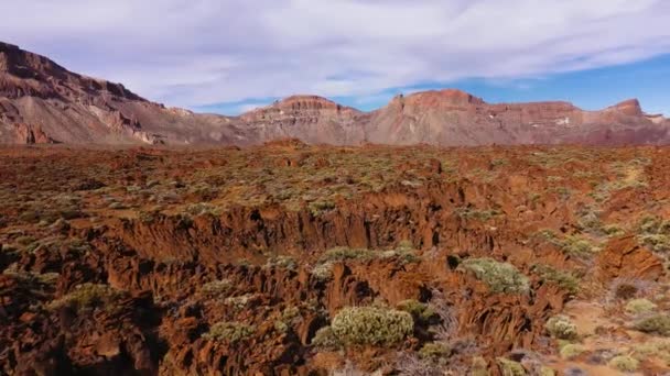 Teide Ulusal Parkı 'ndaki katı lav ve seyrek bitki örtüsünün havadan görünüşü. Tenerife, Kanarya Adaları — Stok video