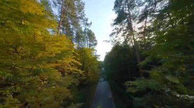 Yol boyunca ağaçların dallarına doğru yumuşak bir uçuş. Günbatımında resimli sonbahar hava manzarası.