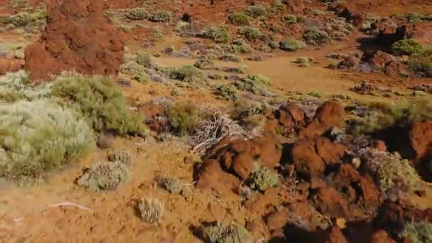 Luchtfoto van gestolde lava en schaarse vegetatie in het Nationaal Park Teide. Tenerife, Canarische Eilanden — Stockvideo