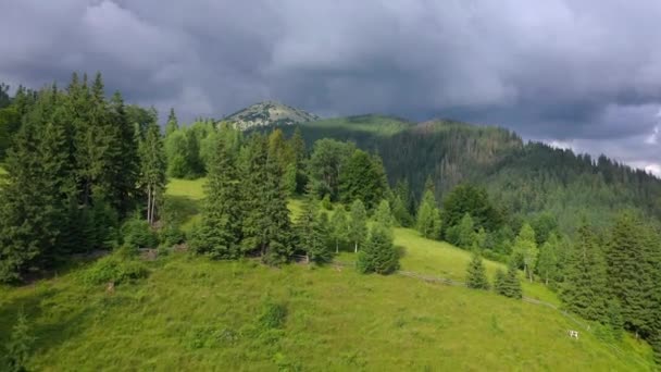 Lot nad pięknym mistycznym krajobrazem górskim. Las iglasty, góry, chmury burzowe — Wideo stockowe