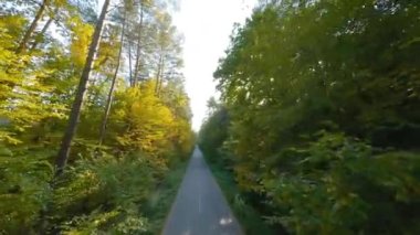 Yol boyunca ağaçların dallarına doğru yumuşak bir uçuş. Günbatımında resimli sonbahar hava manzarası.