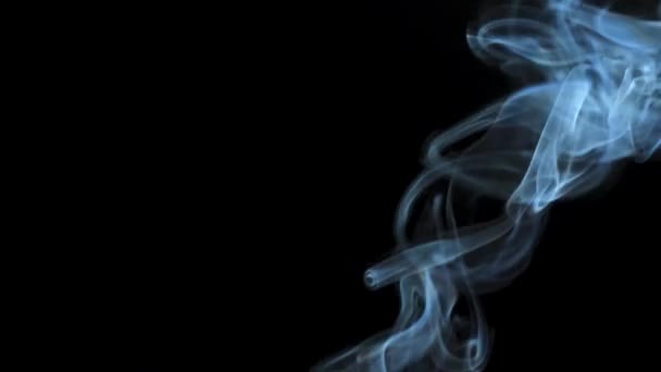 Abstrakcyjny dym wznosi się w pięknych wirach na czarnym tle. — Wideo stockowe