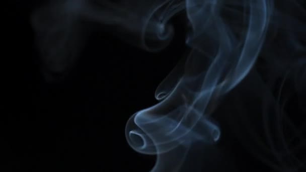 Abstraktní kouř stoupá v krásných vírech na černém pozadí. Zpomalený pohyb — Stock video