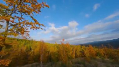 Dağların yamaçlarında parlak bir sonbahar ormanının havadan görünüşü.