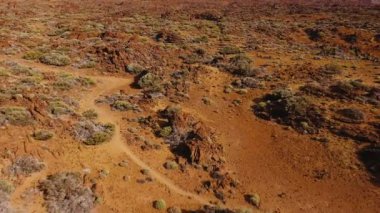 Teide Ulusal Parkı 'ndaki katı lav ve seyrek bitki örtüsünün havadan görünüşü. Tenerife, Kanarya Adaları