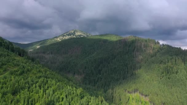 Lot nad pięknym mistycznym krajobrazem górskim. Las iglasty, góry, chmury burzowe — Wideo stockowe