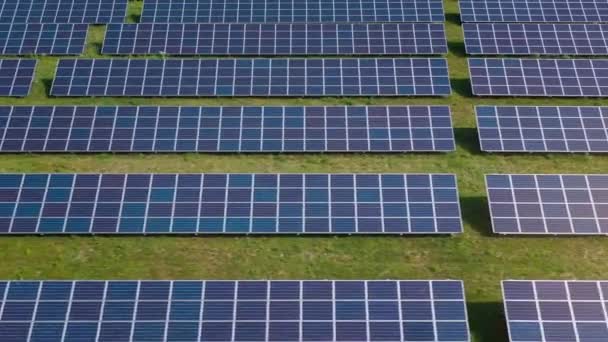 Flyg över ett fält av solpaneler i solig sommardag. Ekologisk innovation. — Stockvideo