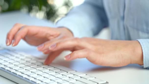 女性の手は、 Webブラウザ上で電子メールやサーフィンを送信するためのコンピュータのキーボードで忙しい作業 — ストック動画