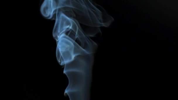 Abstraktní kouř stoupá v krásných vírech na černém pozadí. Zpomalený pohyb — Stock video