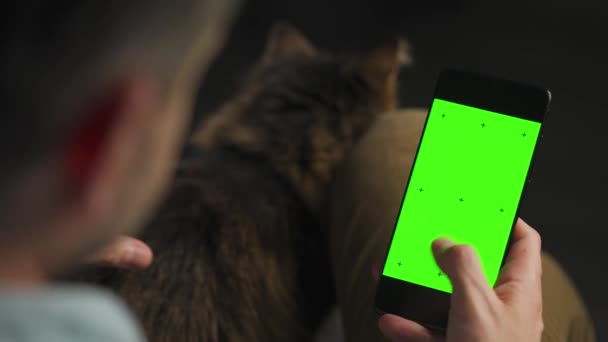 Hombre usando smartphone con pantalla verde en modo vertical y acariciando al gato esponjoso. Hombre navegando por Internet, viendo contenido, videos. — Vídeo de stock