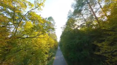 Arabanın sürdüğü yol boyunca ağaçların dallarına doğru yumuşak bir uçuş. Günbatımında resimli sonbahar hava manzarası.