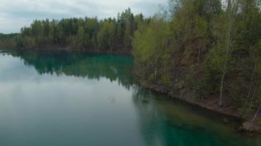 Gölün turkuaz yüzeyinde uçarken orman kıyıda yetişir. Grodek Parkı, Polonya.