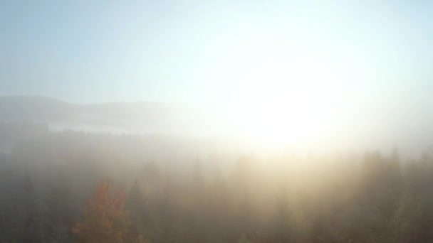 Voando através do nevoeiro acima de uma floresta de outono brilhante nas encostas das montanhas ao amanhecer. Panorama colorido das montanhas dos Cárpatos no outono — Vídeo de Stock