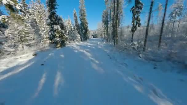 Schnelle Flucht auf dem Pfad im verschneiten Wald. Tatra, Zakopane, Polen. — Stockvideo