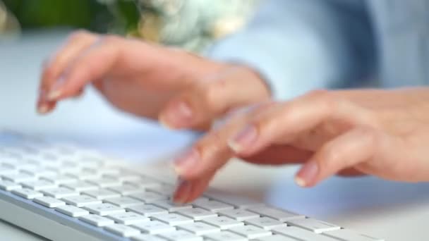 Manos femeninas ocupadas trabajando en el teclado de la computadora para enviar correos electrónicos y navegar en un navegador web — Vídeo de stock