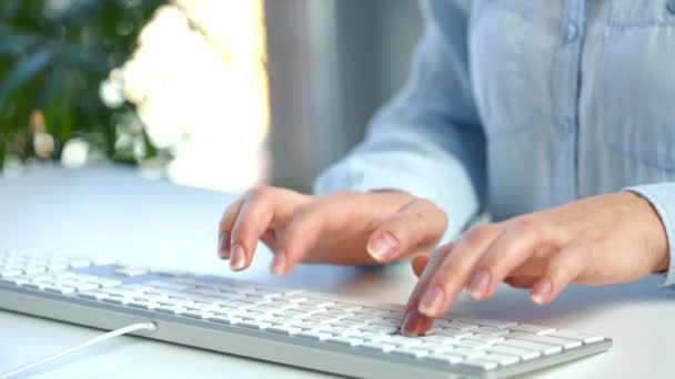 E- posta göndermek ve web tarayıcısında sörf yapmak için bilgisayar klavyesinde çalışan kadın eller — Stok video