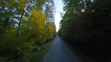Arabanın sürdüğü yol boyunca ağaçların dallarına doğru yumuşak bir uçuş. Günbatımında resmedilmeye değer sonbahar havası. POV FPV insansız hava aracı ile filme alındı.