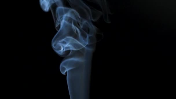Abstrakcyjny Dym Wznosi Się Pięknych Wirach Czarnym Tle Pływający Dym — Wideo stockowe