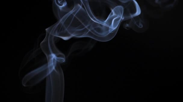 Humo Abstracto Levanta Hermosos Remolinos Sobre Fondo Negro Humo Flotante — Vídeos de Stock