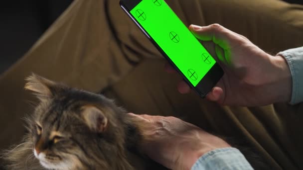 Hombre Usando Smartphone Con Pantalla Verde Modo Vertical Acariciando Gato — Vídeos de Stock