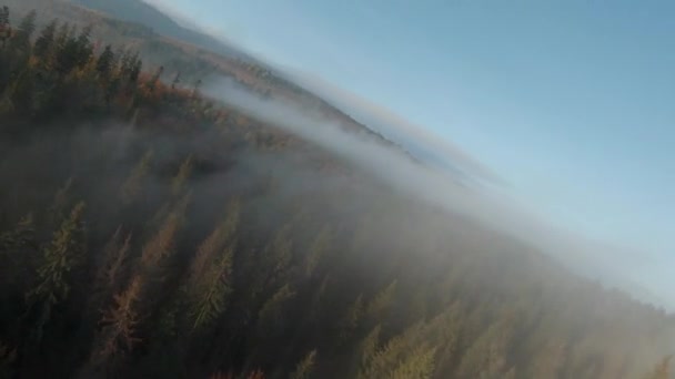 Vliegend Door Mist Boven Een Helder Herfstbos Hellingen Van Bergen — Stockvideo