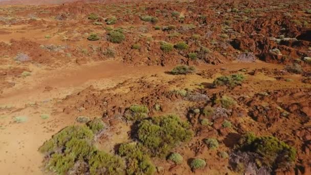Luchtfoto Van Gestolde Lava Schaarse Vegetatie Het Nationaal Park Teide — Stockvideo