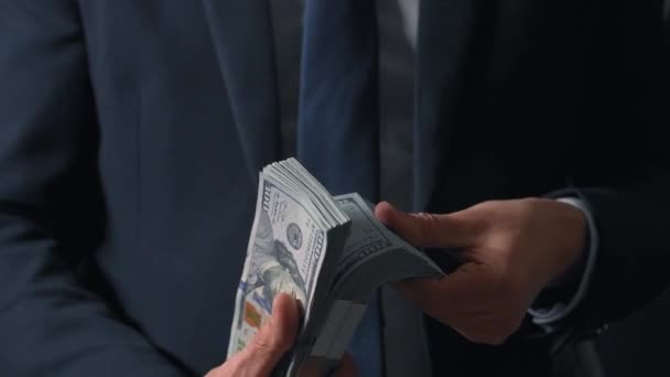 Formally Dressed Man Counting Dollar Bills Close Concept Investment Success — Stock Video