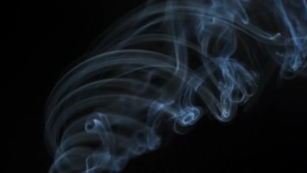Fumaça Abstrata Sobe Belos Redemoinhos Fundo Preto Fumaça Flutuante Movimento — Vídeo de Stock