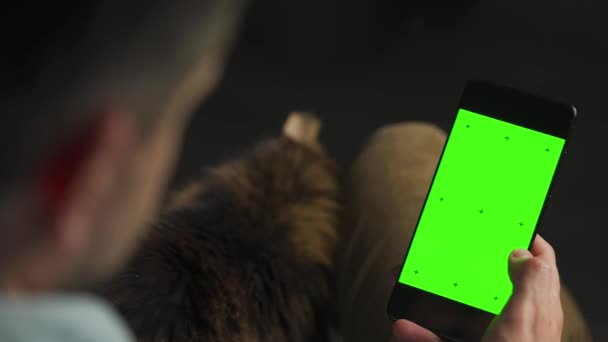 男子使用智能手机与绿色模拟屏幕在垂直模式和抚摸毛绒绒猫 男人浏览互联网 观看内容 — 图库视频影像