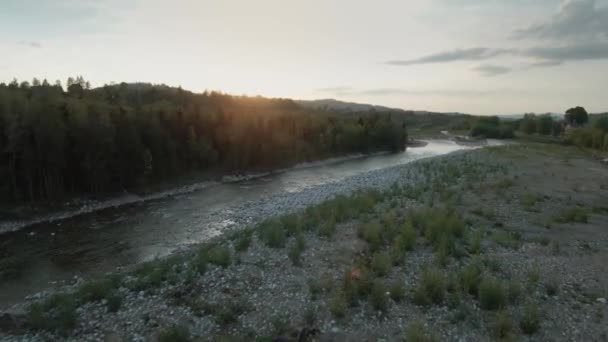 Luchtfoto Van Bergbeekje Rivier Die Bij Zonsondergang Groene Vallei Stroomt — Stockvideo