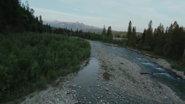 Yeşil Vadide Akan Dere Nehrin Havadan Görünüşü Yaz Gününde Güzel — Stok video