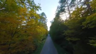 Arabanın sürdüğü yol boyunca ağaçların dallarına doğru yumuşak bir uçuş. Günbatımında resmedilmeye değer sonbahar havası. POV FPV insansız hava aracı ile filme alındı.
