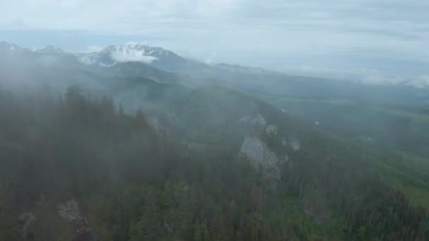 Vista Aérea Paisaje Rocoso Montaña Verano Volando Través Niebla Cerca — Vídeos de Stock