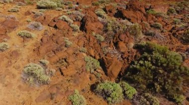 Teide Ulusal Parkı 'ndaki katı lav ve seyrek bitki örtüsünün havadan görünüşü. Tenerife, Kanarya Adaları, İspanya