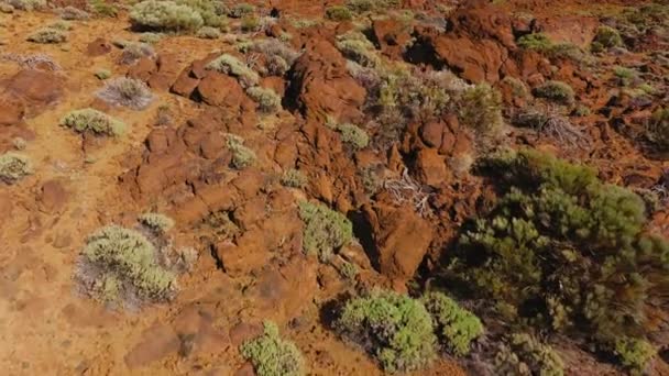 Flygfoto Över Stelnad Lava Och Gles Vegetation Teide Nationalpark Teneriffa — Stockvideo