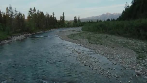 Vue Aérienne Ruisseau Montagne Rivière Qui Coule Dans Vallée Verdoyante — Video