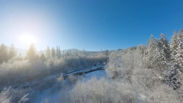 沿着一条被积雪覆盖的森林环绕的山河飞行 在寒冷的阳光明媚的日子里 仙境般的冬季山景 波兰Zakopane的Tatra Mountains 在Fpv Drone上拍摄 — 图库视频影像