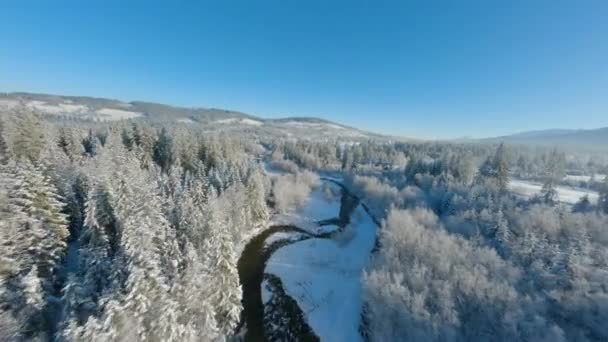 Winter Den Bergen Schneller Wendiger Flug Über Den Schneebedeckten Nadelwald — Stockvideo