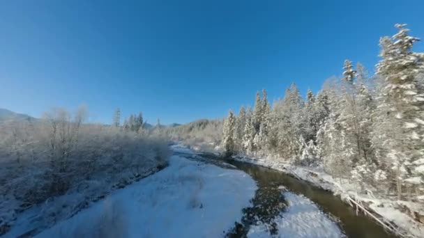 冬天在山上 快速机动飞越高山山坡上被雪覆盖的针叶林和山谷中的河流 在寒冷的阳光明媚的日子里 美丽的冬季风景 — 图库视频影像
