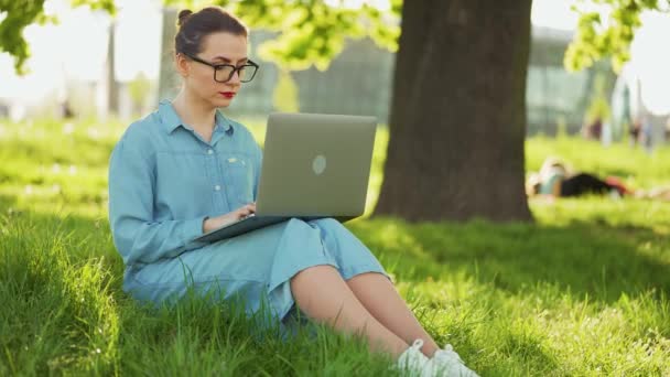 忙碌迷人的女人在笔记本电脑上工作 就像日落时坐在城市公园的草地上 在室外工作的自由职业者 — 图库视频影像