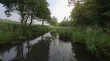 Nehir ya da akarsu üzerinden uçmak. Yaz manzarası. POV FPV insansız hava aracı ile filme alındı.